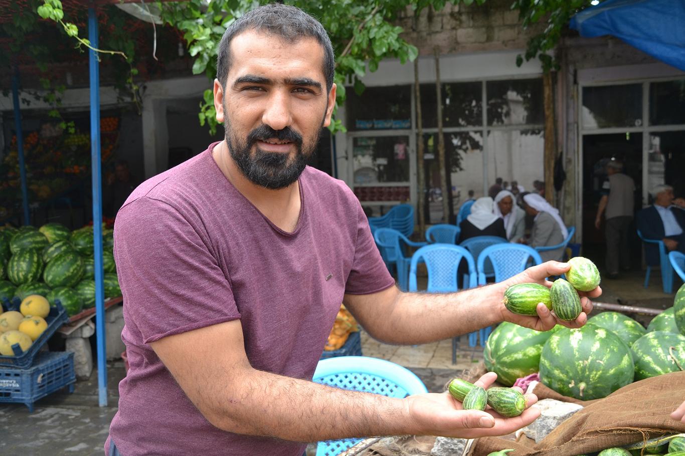 Viranşehir'de şelengo meyvesi tezgâhlardaki yerini aldı Viranşehir'de şelengo meyvesi tezgâhlardaki yerini aldı